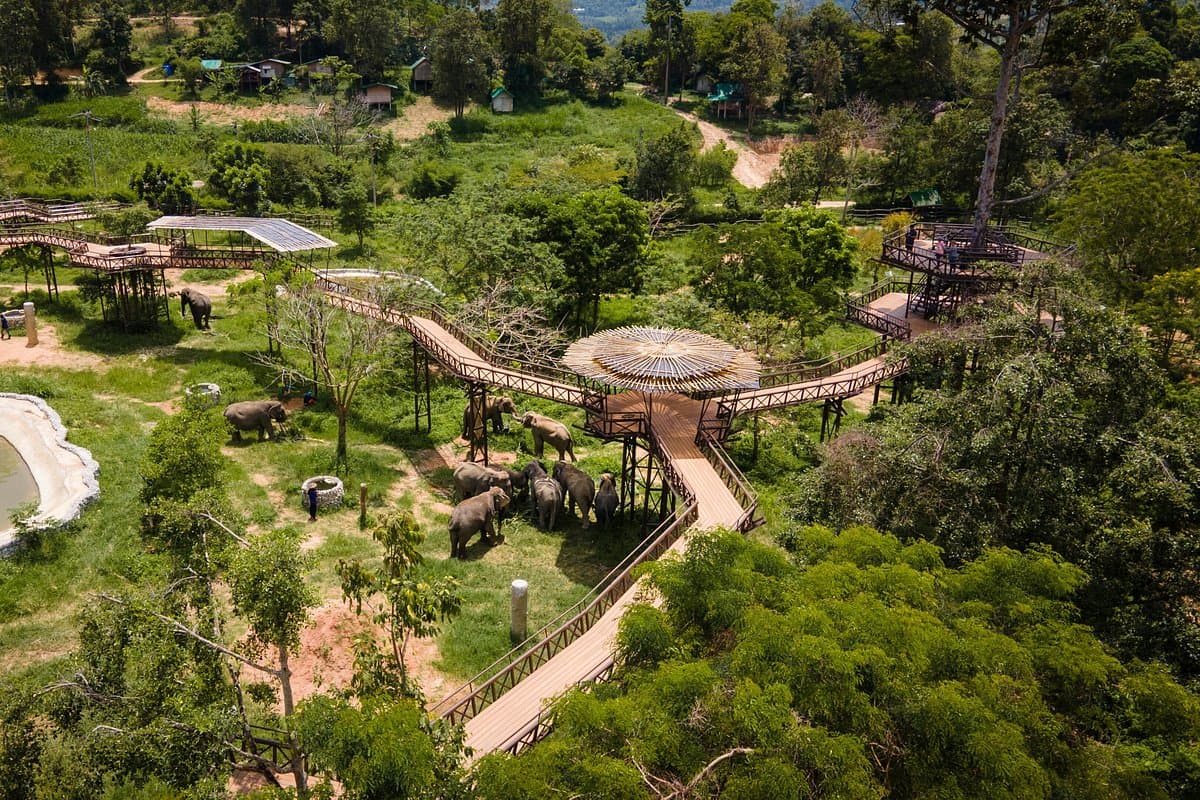 Tropical island atmosphere on Koh Samui