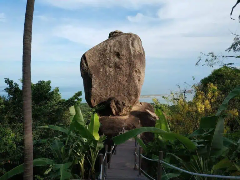 Elevated coastal view near the estate
